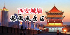 www.一起操中国陕西-西安城墙旅游风景区